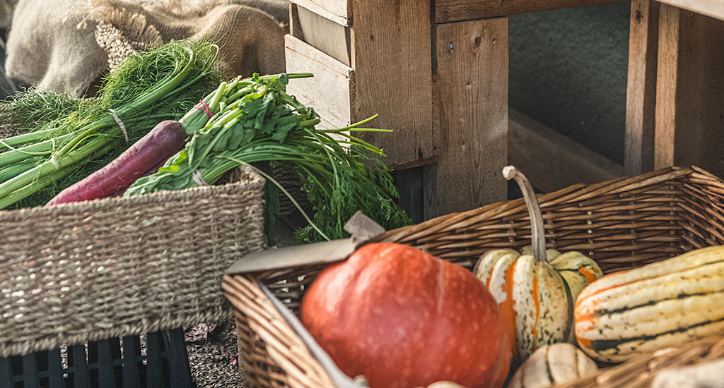 Summer Markets